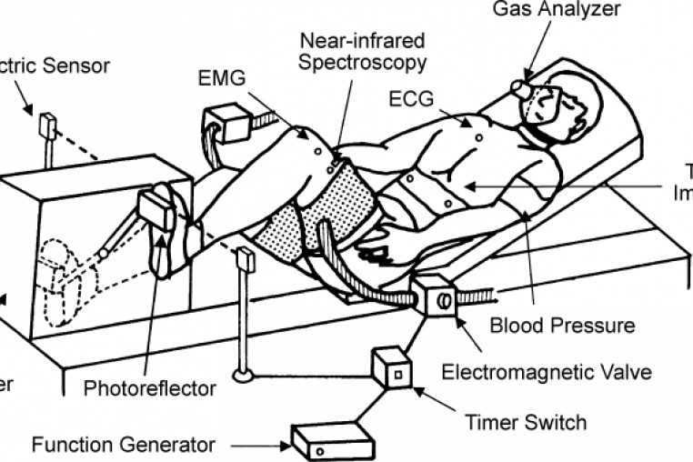 Sports Performance Bulletin - Endurance training - Endurance